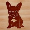 Sitting Frenchie Dog Image A sitting French bulldog breed of dog.