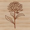 Detailed Digital Chrysanthemum Design A high-quality digital illustration of a chrysanthemum flower with intricate details.