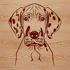 A close-up illustration of a Great Dane's head, highlighting its distinctive facial features.