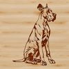 A large breed dog with a calm expression sitting upright.