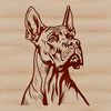 Majestic Great Dane Breed Profile A large breed dog, specifically the Great Dane, with its distinctive head shape and features.