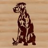 Sitting Gentle Giant A digital illustration of a sitting Great Dane, suitable for various design projects.