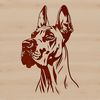 A detailed illustration of a Great Dane's head, suitable for personal or commercial vector graphics use.