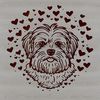 Adorable Havanese Breed Vector Art Havanese dog breed with love hearts in vector design format.