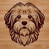 Sweet Havanese Portrait A detailed illustration of a Havanese dog's head, suitable for vector design and cutting machine projects.