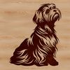 A portrait illustration of a sitting Havanese dog breed.