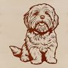 Fluffy Havanese Breed Vector A small, fluffy Havaneses breed sitting on the ground.