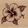 Hibiscus flower in full bloom, ideal for vector design projects and commercial or personal use.