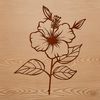 A detailed illustration of a hibiscus flower in various colors, suitable for digital art projects.
