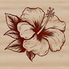 Close-up illustration of a single Hibiscus flower with large petals and prominent stamen.