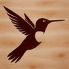 Close-up illustration of a hummingbird's head and body, showcasing its distinctive features.