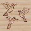 Beautiful Small Bird SVG Graphic An SVG vector graphic design featuring a small bird species with long beak and iridescent feathers.