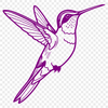 A colorful hummingbird perched on a branch, depicted in vector style.