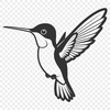 Flying Beauty - Vector Bird Graphic A detailed illustration of a hummingbird in flight, created as vector art for easy customization and modification.