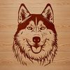 Free Vector Graphic of a Husky Dog Head An image of a husky dog's head, suitable for use in various designs.