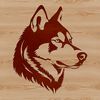 Beautiful Husky Dog Head Vector Art A portrait of a Siberian Husky's head with distinctive facial features.