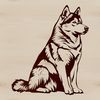 Vector Husky Breed Dog Illustration A Siberian Husky breed dog sitting on its haunches, depicted in simple vector lines.
