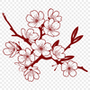 Free Vector Cherry Blossom A delicate cherry blossom with pink petals and green stem.