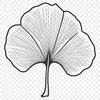 A simple vector illustration of a single leaf with stylized details and smooth edges.