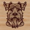 Close-up illustration of a miniature dog's head with distinctive beard and eyebrows, suitable for vector graphics.