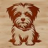 Morkie Silhouette A small dog sitting on its hind legs with a playful expression.