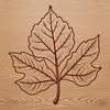 High-Quality Maple Leaf Illustration A single maple leaf with detailed veins and edges, suitable for vector design projects.