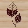 Detailed Leaf Illustration for Vector Graphics A single leaf illustration with detailed veins and edges, suitable for vector graphics.