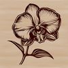 Single Orchid Flower Vector Art A detailed illustration of a single orchid flower with delicate petals and a slender stem.
