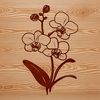 A detailed illustration of a delicate orchid plant with intricately designed petals.
