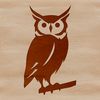 Free Vector Owl Clip Art Realistic illustration of a wild owl perched on a branch, depicted in vector format.