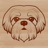 Adorable Canine Close-up Illustration Close-up illustration of a Shih Tzu dog's head.
