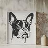 Cute Dog Head Vector Graphic A close-up illustration of a Boston Terrier's head, ideal for customizing vector art designs.
