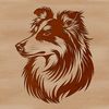 Free SVG Vector of a Shetland Sheepdog An illustration of a Shetland sheepdog with a distinctive head shape and facial features.
