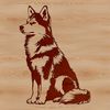A vector illustration of a sitting Husky dog breed in a simple design style.