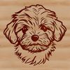 Cute Havanese Breed Vector Art A close-up illustration of a Havanese dog's head, featuring a stylized design suitable for vector art.