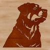 A high-quality digital illustration of a Rottweiler dog in vector format.