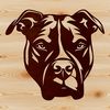 Close-up Pitbull Illustration SVG File Close-up vector illustration of a Pitbull's head, ideal for digital cutting machines or laser cutters.