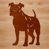 Adorable Pitbull Clip Art Illustrated pitbull standing on four legs, suitable for vector designs.
