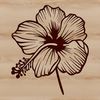 Hibiscus Floral Design Element A single stem of a tropical Hibiscus flower with large, showy blooms.