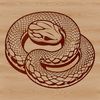 Close-up vector illustration of a serpent's head.