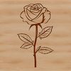 Vintage Rose Illustration A stylized illustration of a rose in various stages of bloom, suitable for vector graphics design.