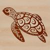 Stunning Ocean Dweller A sea turtle swimming in the ocean with its flippers visible.