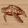 Tropical Sea Creature Illustration A realistic illustration of a sea turtle swimming in the ocean, suitable for use as clip art or vector design.