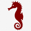 Seahorse Illustration Vector Graphic A detailed illustration of a seahorse, showcasing its distinctive features.