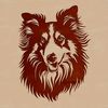 Fluffy Shetland Sheepdog Portrait A Shetland sheepdog's head, a breed of dog known for its small size and fluffy coat.