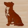 A loyal and small breed dog sitting on its hind legs, a Shetland sheepdog breed with distinctive features.