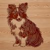 Sitting Dog Illustration Vector Art A illustration of a sitting Shetland sheepdog dog breed.
