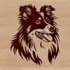 Illustration of a Shetland Sheepdog's head A illustration of the head of a Shetland Sheepdog, created as vector art.