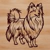 Cute Standing Dog Breed Portrait A portrait of a standing Shetland sheepdog with a fluffy coat.