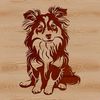 A portrait of a Shetland sheepdog sitting on a background.